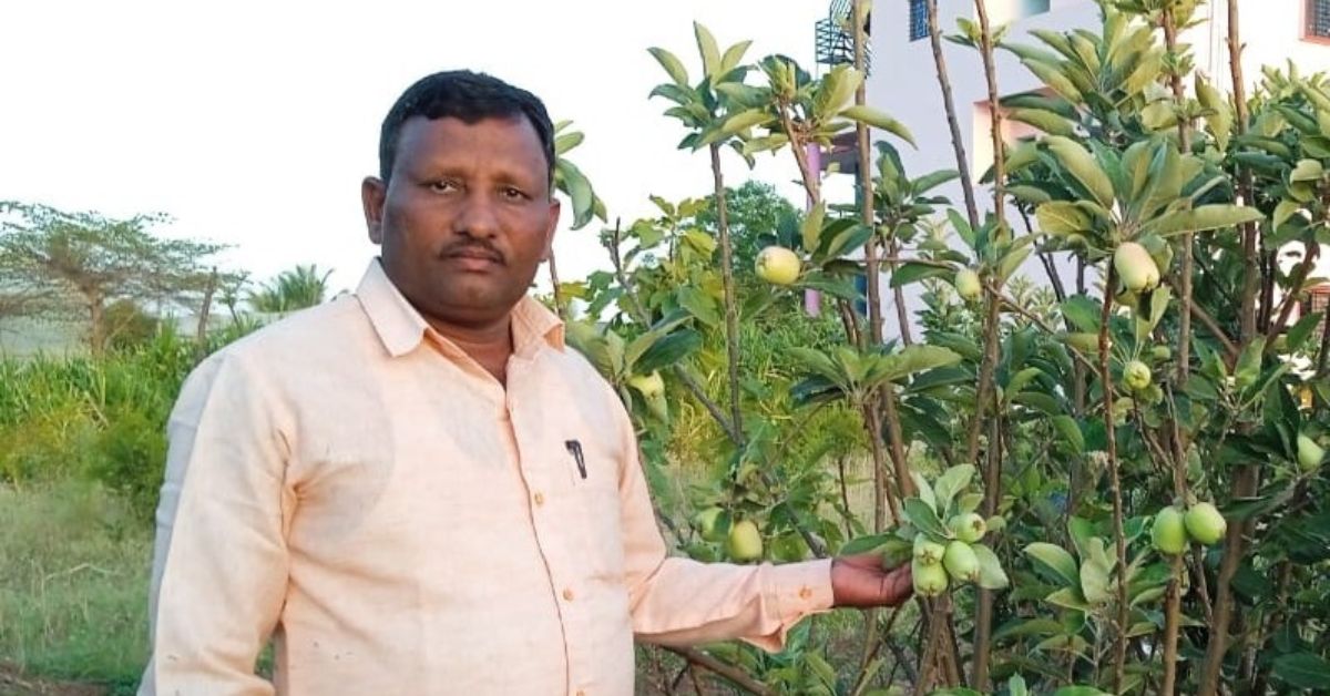 Sawant is the recipient of Udyan Pandit for excellence in fruit cultivation and sponsored by the National Horticulture Board. 