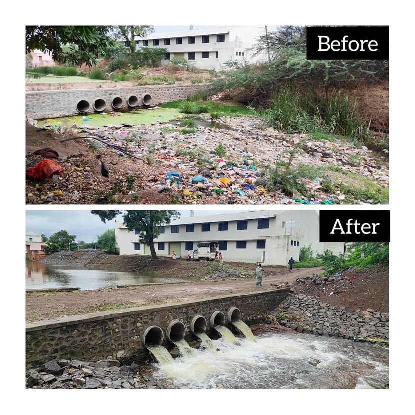 Scientist Uses Duckweed To Revive Rivers Treat Wastewater Daily