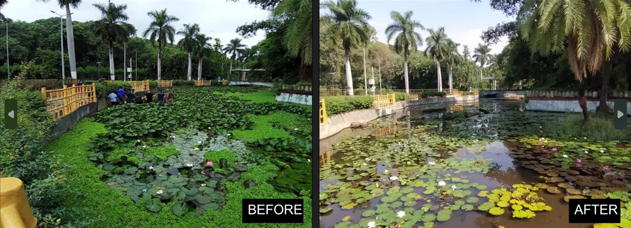  Rejuvenation of a waterbody in Sarasbaug, a public park in Pune.