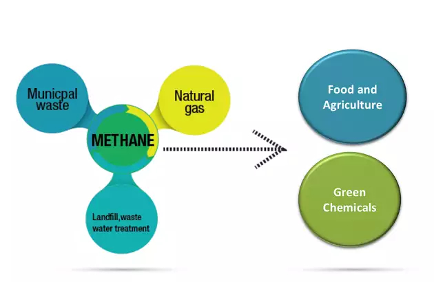 String Bio SIMP Methane Conversion Scientist 