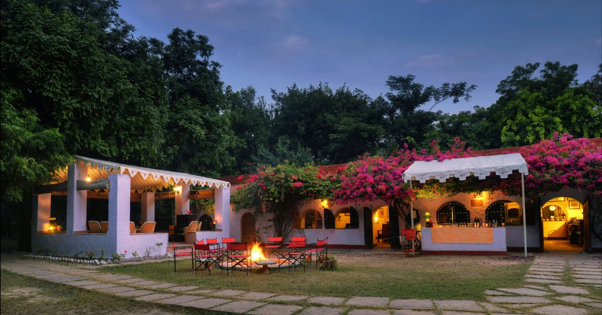 Couple Turns Chambal Right into a Tourism Hub With Boutique Safari Hotel