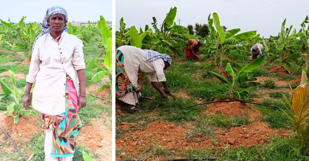 So far, he has provided employment to more than 3,000 rural women.