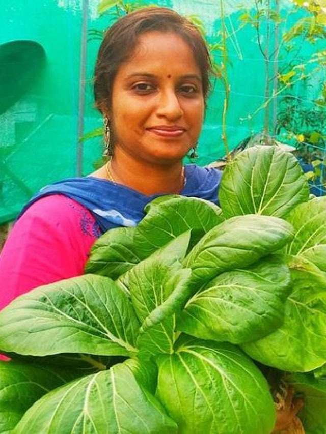 Kerala Gardener Grows Fresh Organic Veggies on Terrace Without Soil