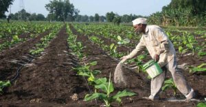 Researcher's Bio Alternatives to Fertilisers & Pesticides Help 10000 Farmers Avoid Losses