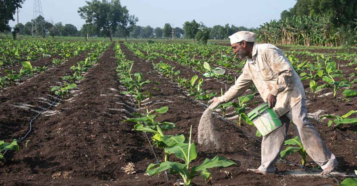 Researcher’s Bio Alternatives to Fertilisers & Pesticides Help 10000 Farmers Avoid Losses