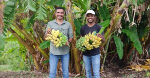 Friends' Zero-Commission Online Market Helps Farmers Double Their Income Minus Middlemen
