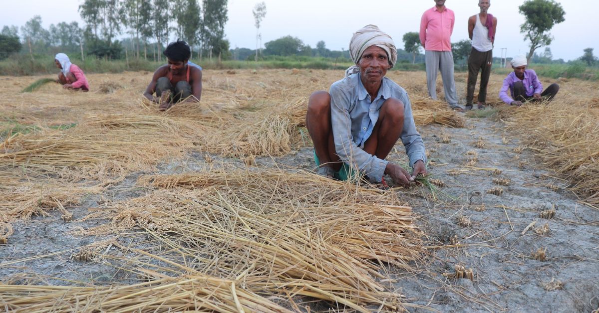 They collect husk and rice grain from mills in Thiruvananthapuram and straw from farmers across Kerala belt