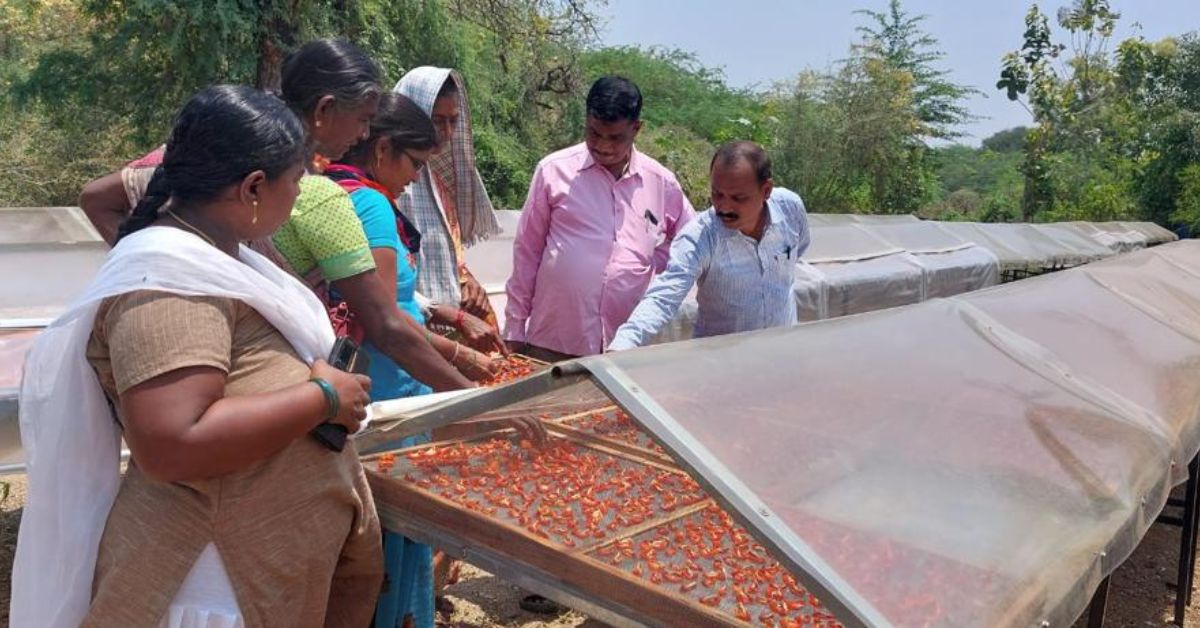 At least 50,000 farmers across the country have been able to reap benefits from excess produce.