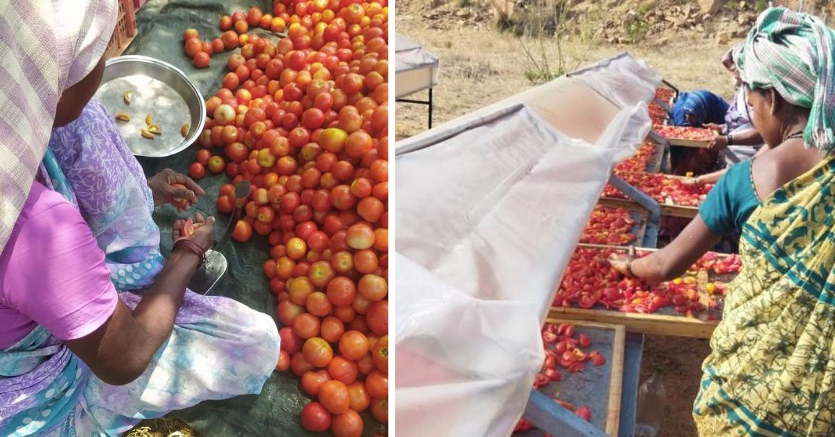 Why Were Farmers Throwing Out Tomatoes? Engineer’s Solar Dryers Help Farmers Earn in Dire Times