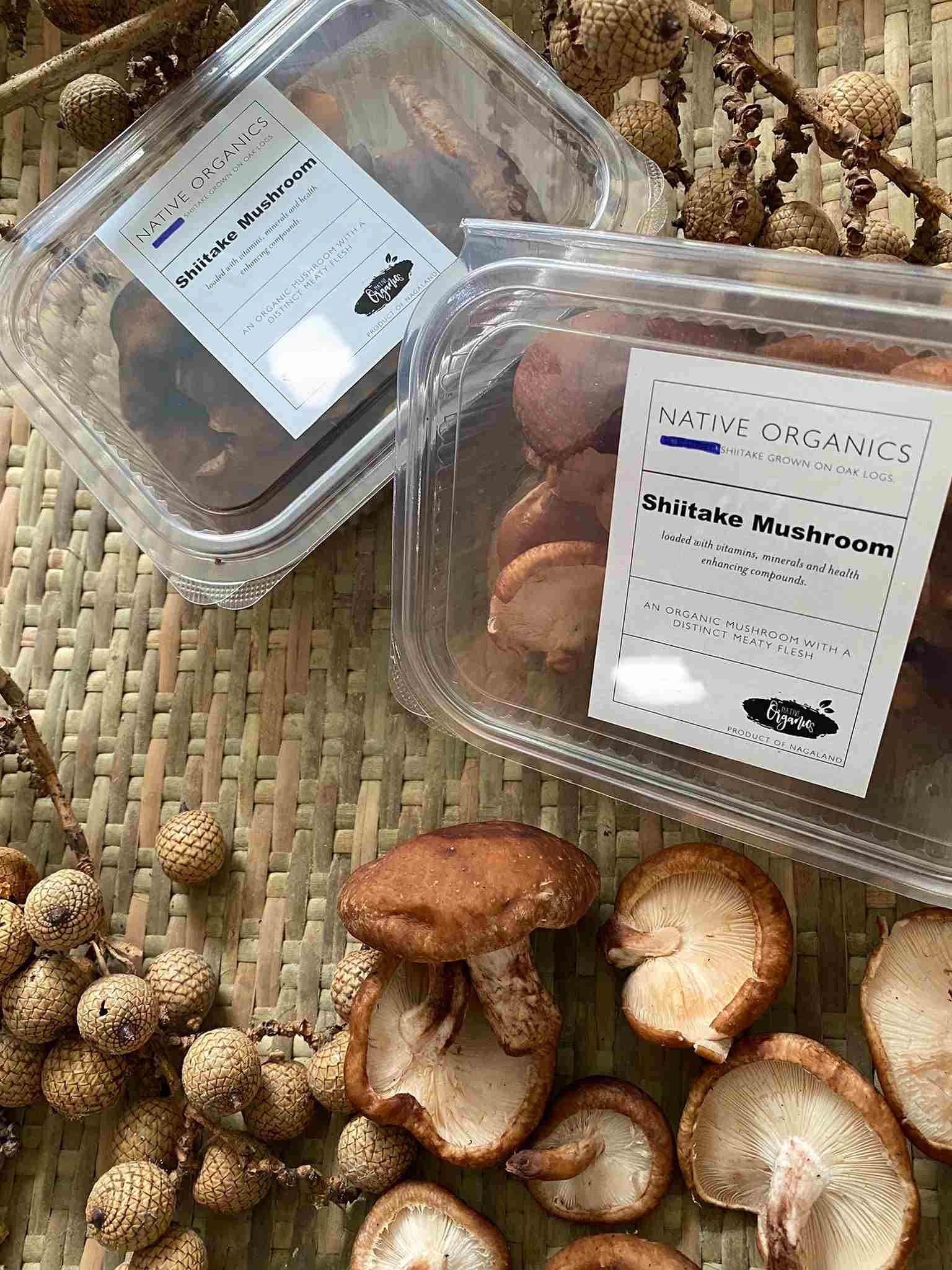 Shiitake mushroom products by Native Organics are grown organically and through a technique called pollarding