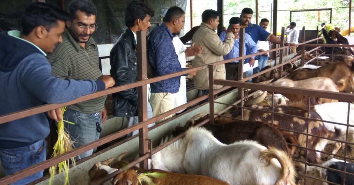 Ashwin helps farmers grow green fodder like maize, barley, wheat for goats, cows, buffaloes, ducks.