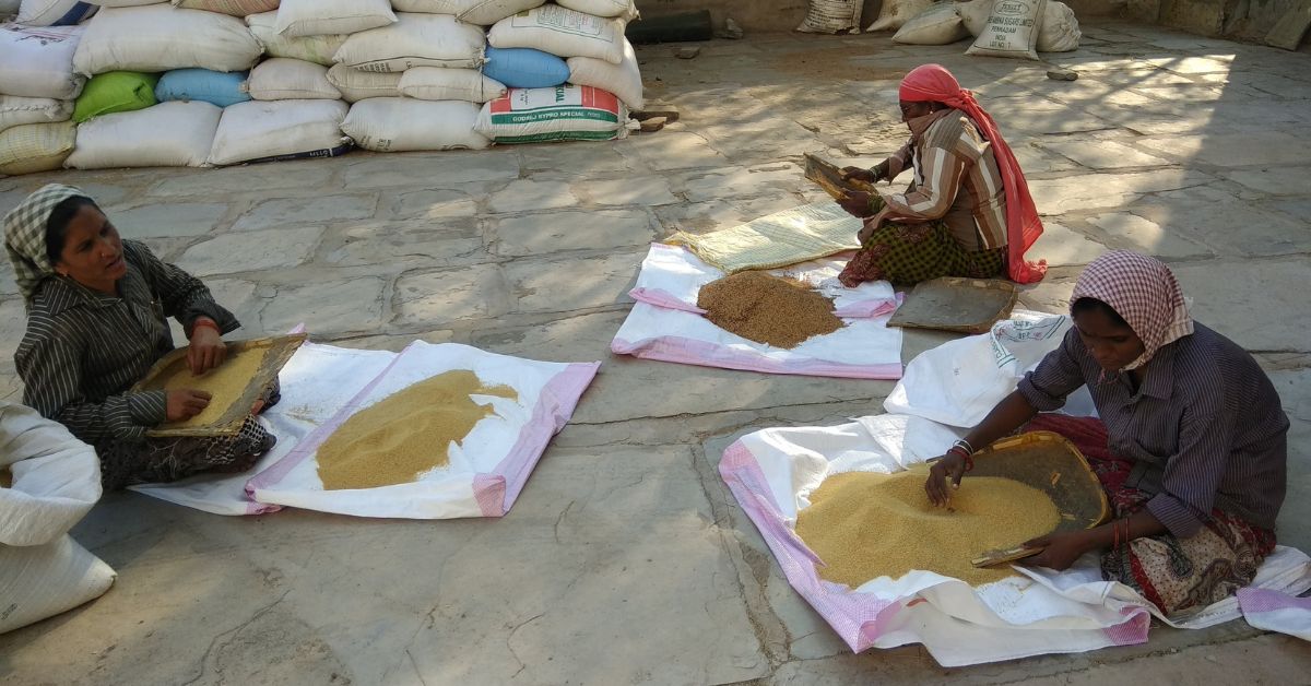 The women of the village are engaged in sifting through the harvested millets, segregating them and deeming them fit to sell