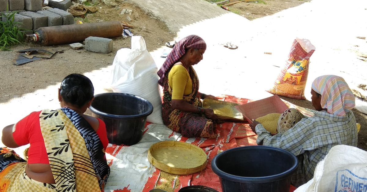 The harvested millets are processed at the factory after which they are turned into products like dosas and malts