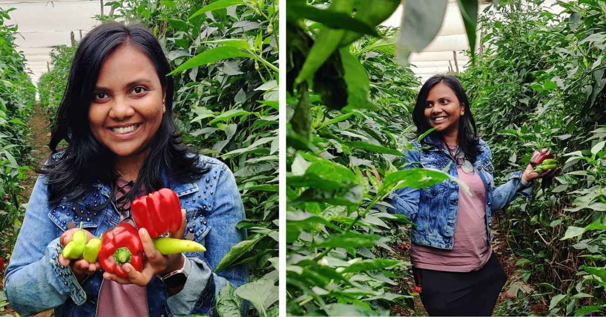 gardening tutorials by Komal Singh