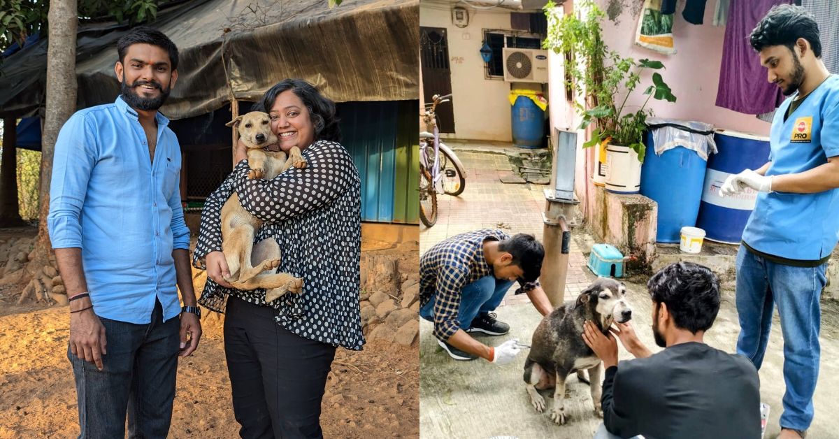 What To Do For Injured Animals on Streets? One MBA Grad Has Saved 40000 Strays