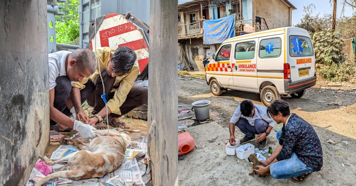 Animals being treated on field by Mypalclub