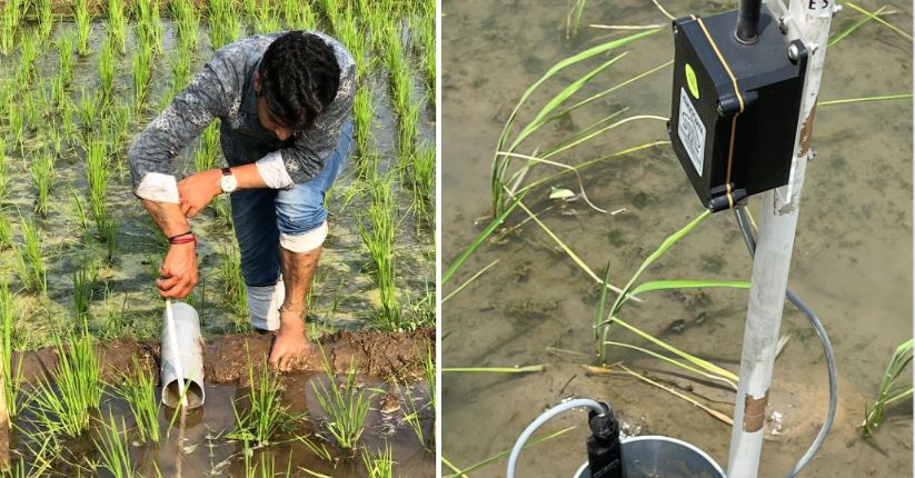 Malesh D launched CultYvate, an agricultural technology platform that helps farmers measure the water needs of crops.