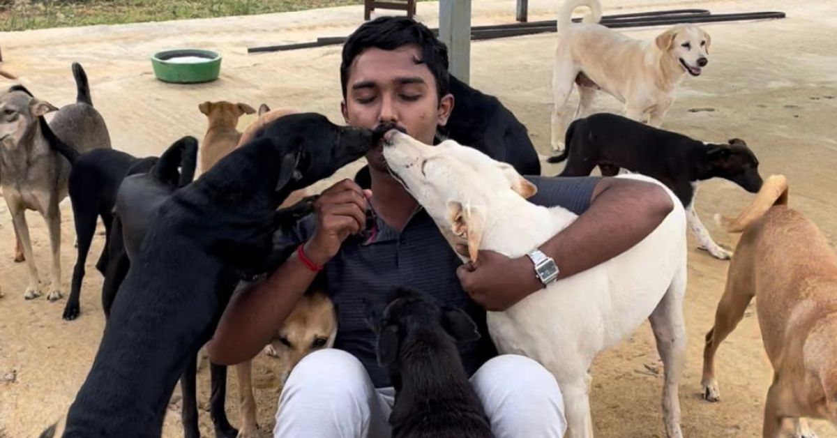 Sai has over 250 animals with him at the sanctuary