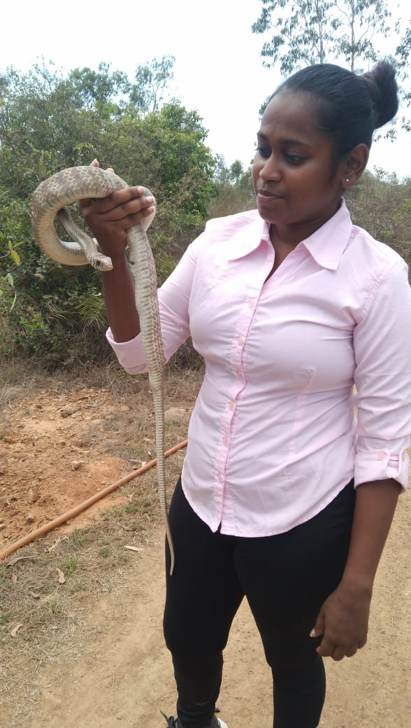 Vedhapriya has rescued over 6000 snakes so far