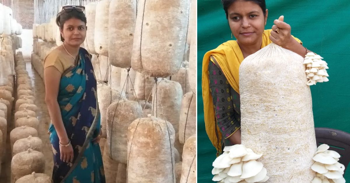 Heartbroken After College Shutdown, Teacher Started Mushroom Farming; Earns Rs 1.5 Lakh/Month