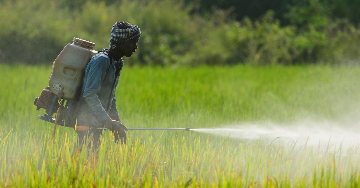 This manual exercise of spraying pesticides on the crops is hazardous to the farmers’ health and the soil’s as the spray gets everywhere.