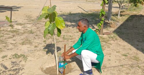 Rajasthan's 'Tree Teacher' Has Planted Over 4 Lakh Trees to Protect the Thar Ecosystem