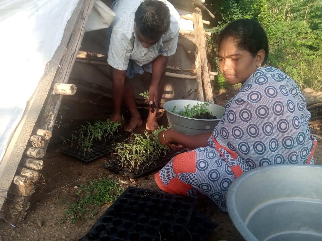 Bindu started intercropping for a better income