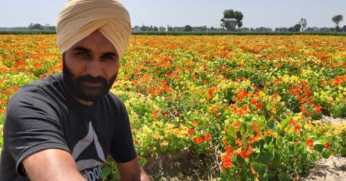 Punjab Farmer Gave Up Wheat Farming to Grow Exotic Flowers, Earns Rs 1 Lakh/Acre