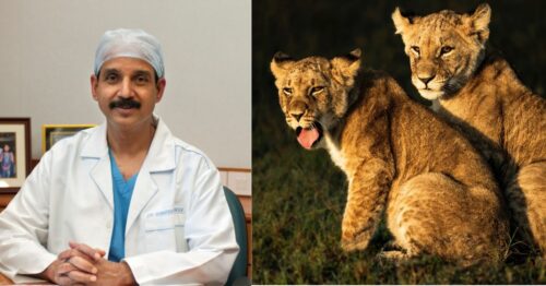 Doc By Day, Wildlife Photographer Always: 10 Phenomenal Clicks By a Heart Surgeon