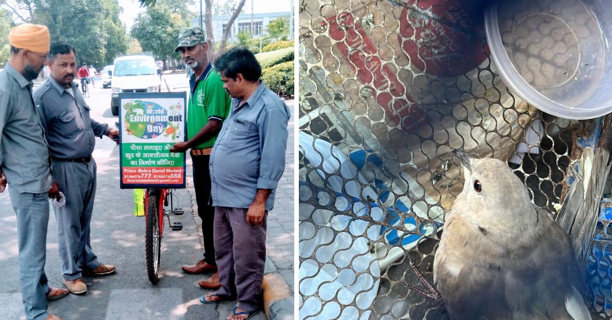 To do his bit to reduce the rising air pollution, Manjit switched to riding a bicycle in 1990 and later dedicated himself to saving birds.