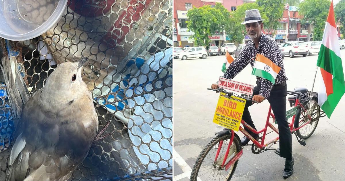 For 12 Years, Chandigarh Man Has Run a Unique ‘Bird Ambulance on Wheels’