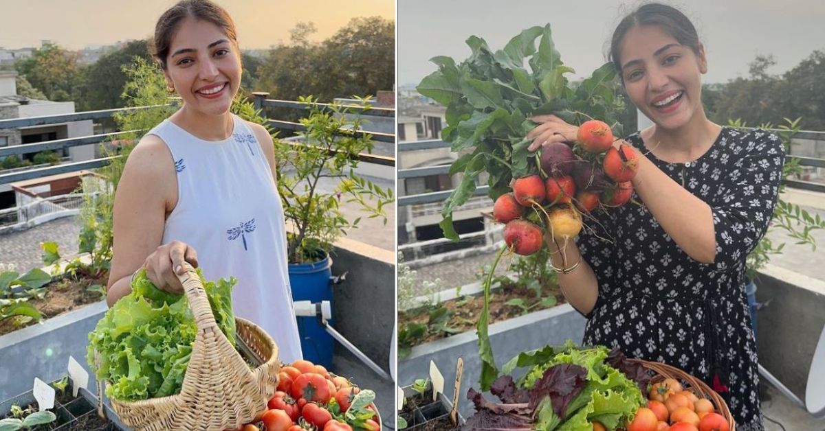 Started for Her Dad’s Health, Ludhiana Woman Grows 200 Plants in Her Terrace Garden