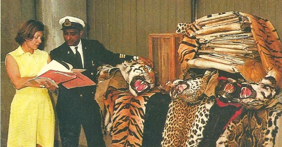 Anne Wright diligently documented the big cat skin trade.