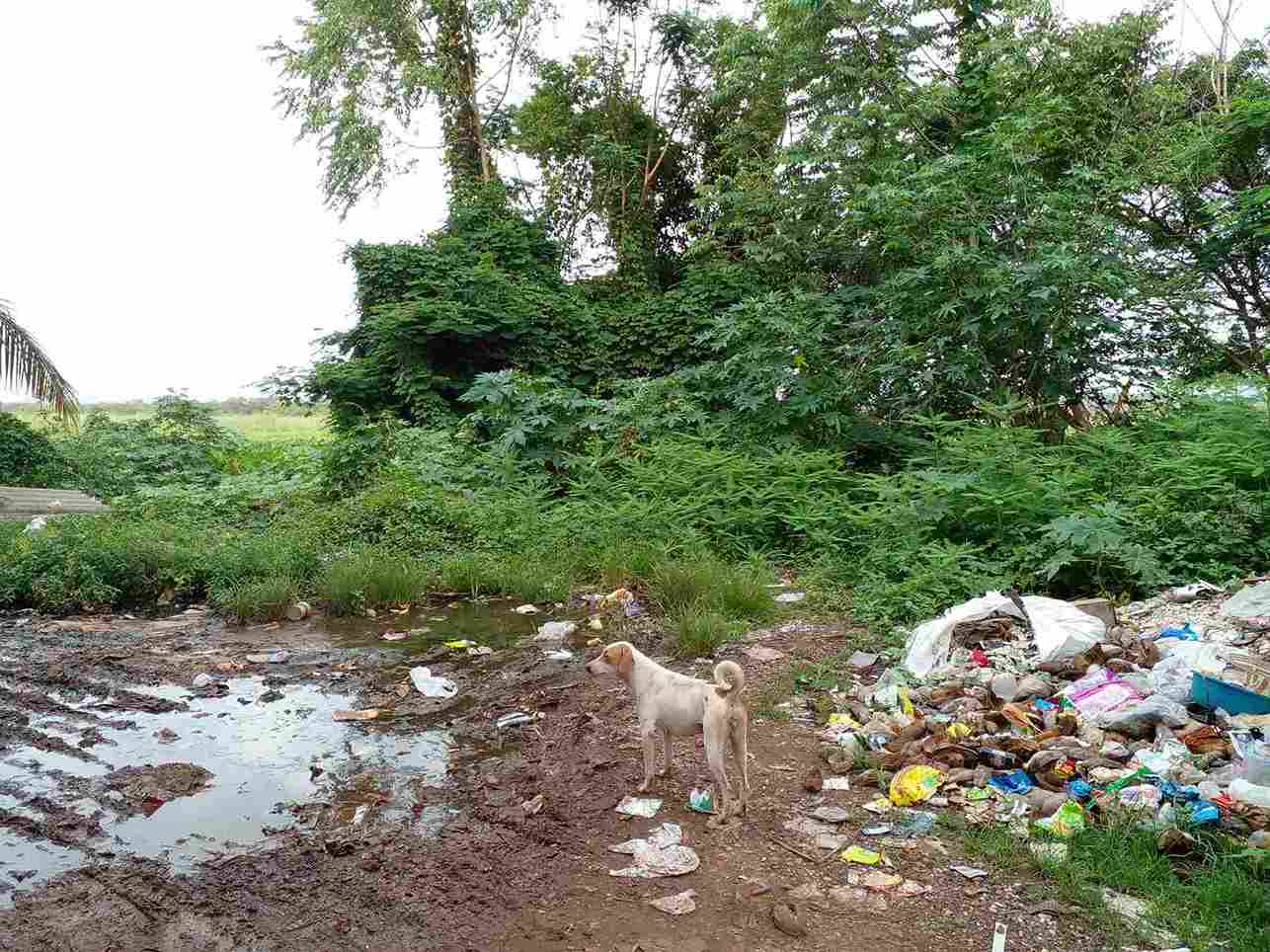 Goa's plastic waste garbage is commonly seen in open spaces across the beautiful state.