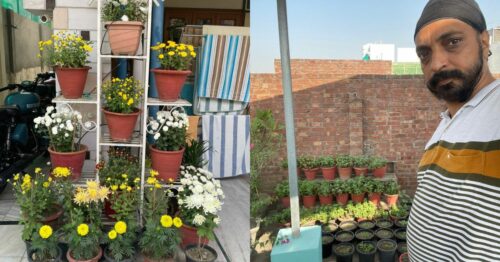 'Good Soil Is Key': Amritsar Dentist Shows How He Grows 800 Plants At Home & Clinic