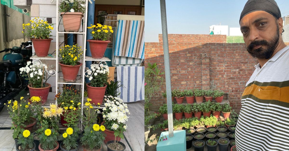 Dr Navdeep Singh Khurana, a dentist in Amritsar started gardening 8 years back. Today, he grows 500 plants at his house and 300 at his clinic.