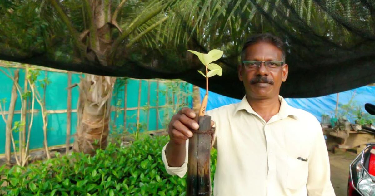 Kerala Fisherman Has Planted 1 Lakh Mangrove Trees & Wants You to Plant Just 10 per Year