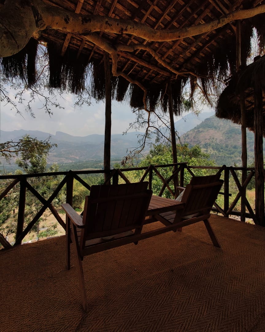 The treehouse on the property offers glorious views of the plantations and forests around.