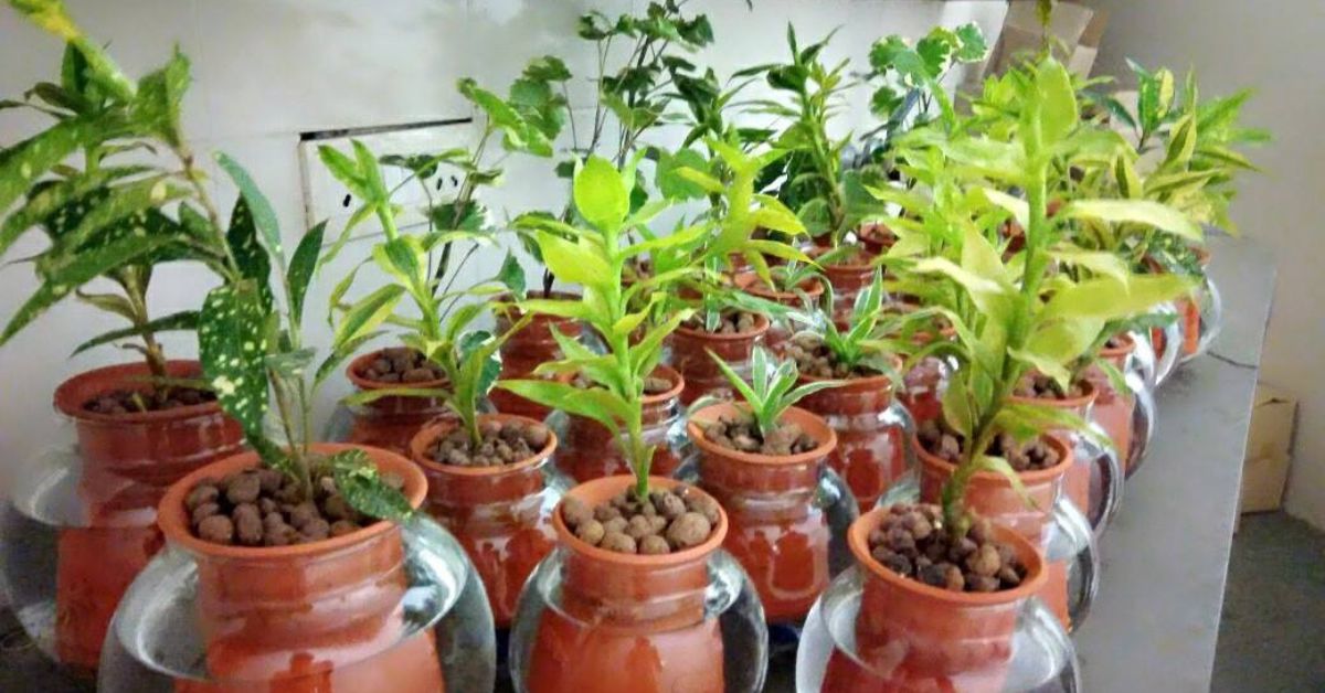 NID Grad’s Self-Watering System Keeps Plants Alive For 15 Days, Doesn’t Let Mosquitoes Breed