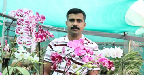 Why This Kerala Home Grows 120 Varieties of India's Rarest Wild Orchids