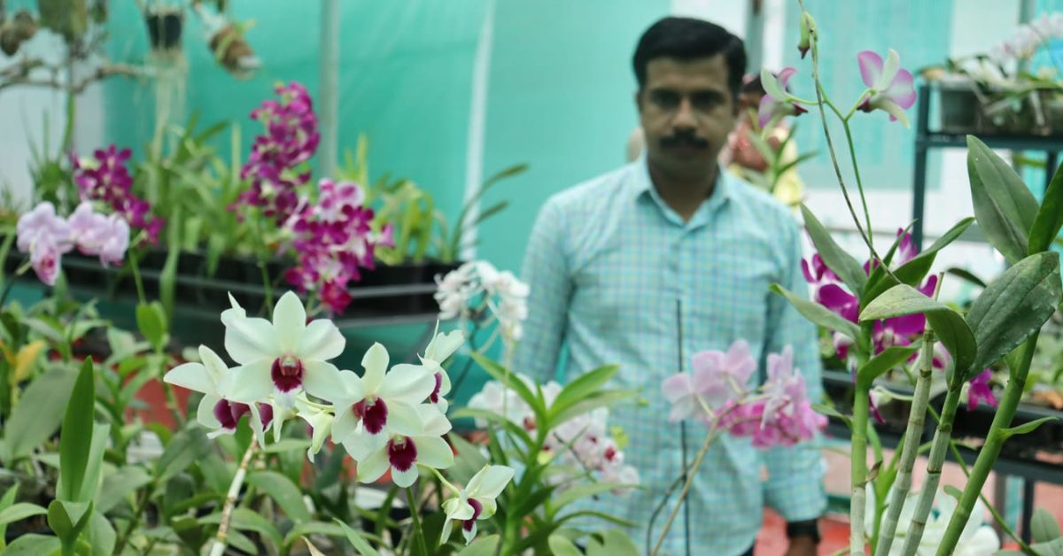 The innovative farmer has conserved 120 varieties of wild orchids.