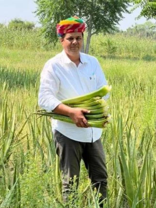 How I Built an Organic Farm That Earns Rs 10 Crore/Year, After Incurring Constant Losses