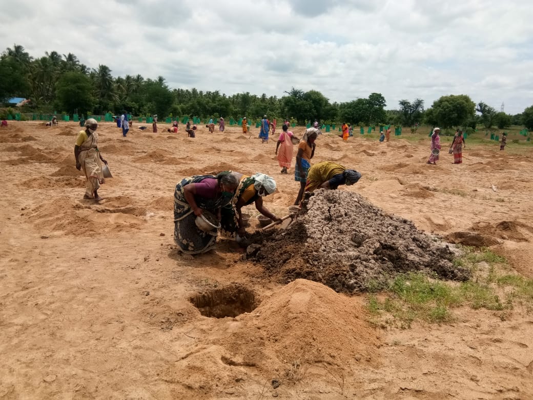 Srikanth invested Rs 1.5 lakhs to build the forest