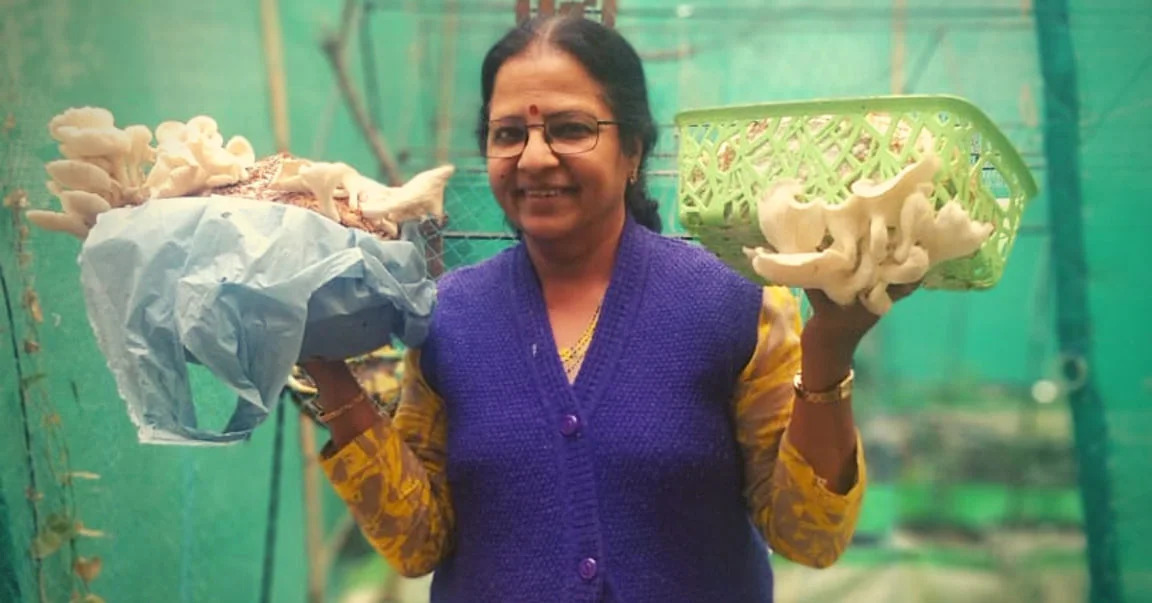Delhi-based Geeta Arunachalam uses stubble to grow oyster mushrooms