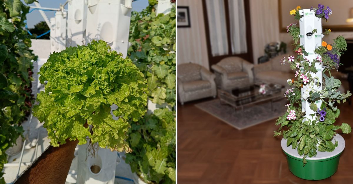 These Aeroponic Towers Let You Grow 30X More Vegetables in Small Balconies
