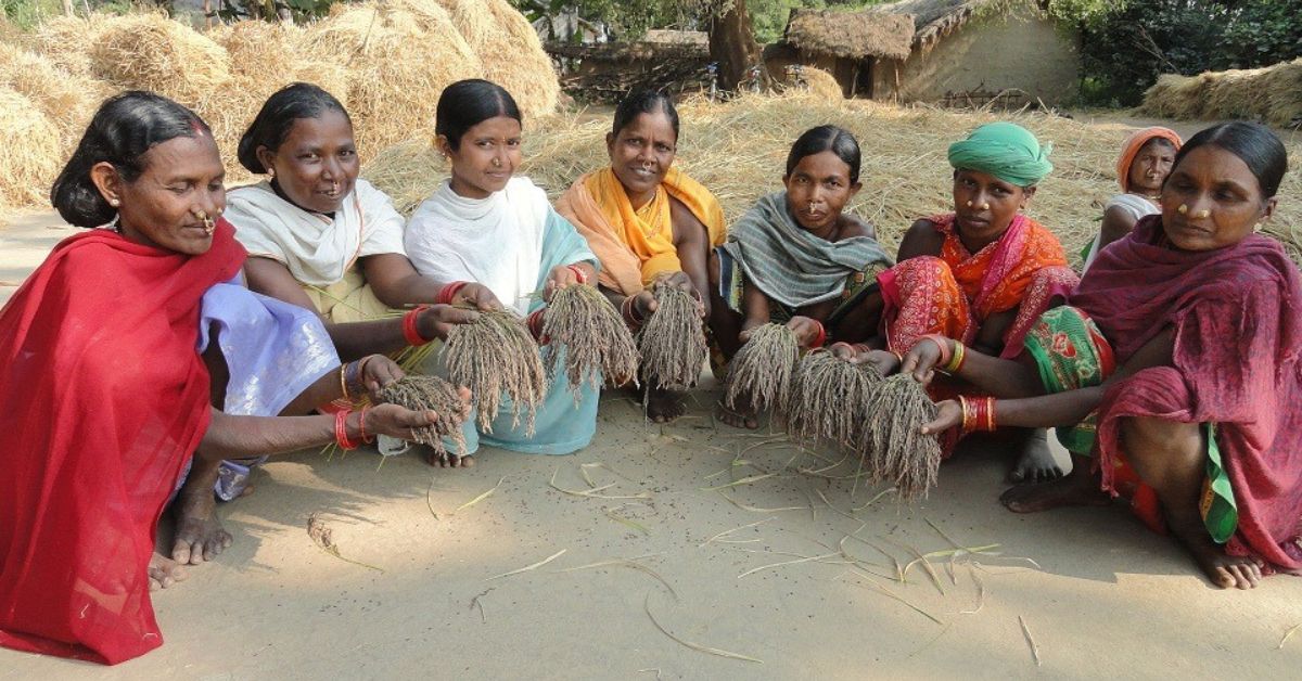 Raimati has trained 2,500 other farmers in her block to adopt millet farming techniques.