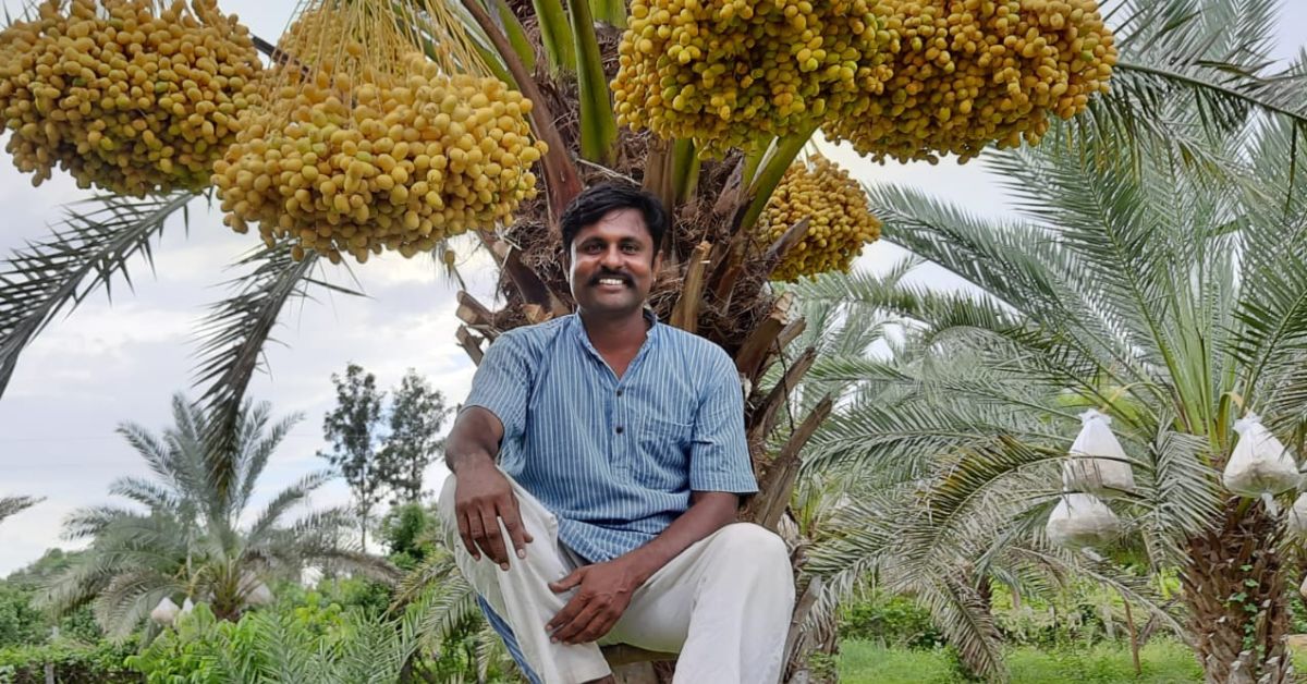 ISRO Scientist Returns to His Village to Grow Organic Dates, Earns Rs 15 Lakh/Year