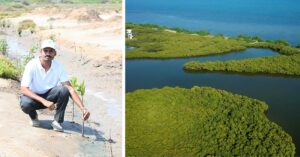 Honoured By UNESCO, IFS Officer's Initiative Protects Gulf of Mannar's Natural Wealth