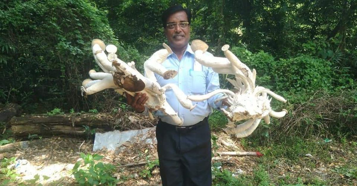 Started With Just Rs 36, Odisha Man’s Mushroom Farm Now Earns Lakhs