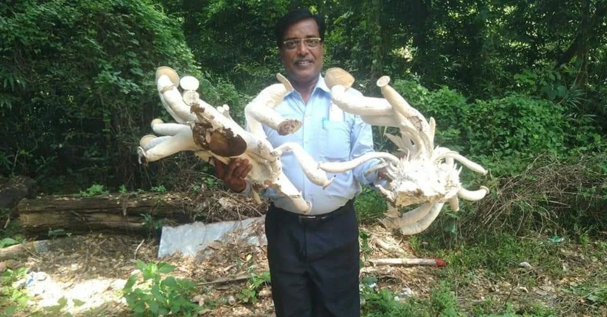 Odisha's Santosh Mishra learned the importance of sterilisation while growing oyster mushrooms